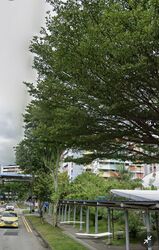 Blk 719 Khatib Spring (Yishun), HDB 3 Rooms #496821391